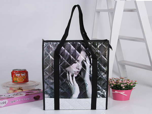 recycle thermal insulation bag