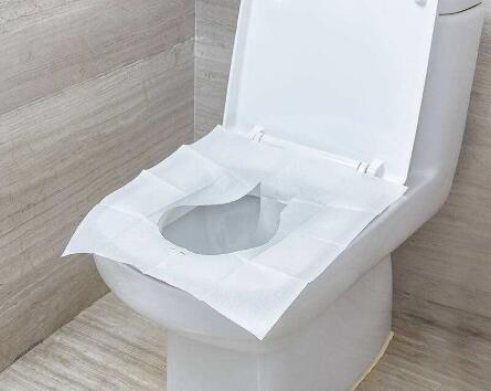 toilet seat cover